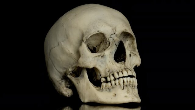 Human skull rotating on a black background. Eyes come and go.