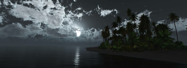 The moon over the sea near the shore with palm trees, silhouettes of palm trees against the background of a lunar sky with clouds, 3D rendering - 783123154
