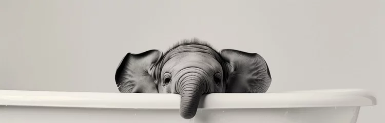 Fototapete Elefant a cute baby elephant taking a bath in a bathtub isolated on white background 