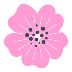 Sakura flower. Cherry blossom. Vector illustration.