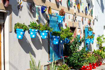 Multicolored flower pots on the wall