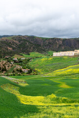 Fototapeta na wymiar Scenic view of field against sky in Setif, Algeria.