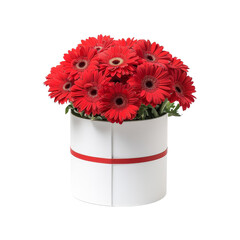 Vibrant Red Gerbera Daisies in a White Flower Box with Red Ribbon, Displaying Elegant Floral Arrangement Concept.