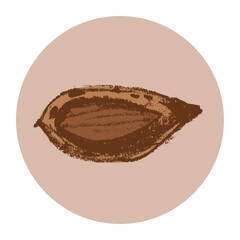 Vector hand-drawn illustration almond. Color charcoal drawing of almond nut for marzipan paste label design or almond butter packaging. Botanical sketch for ketogenic diet banner.