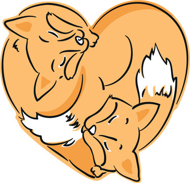 Two sleeping foxes in shape of heart - minimalistic colored illustration