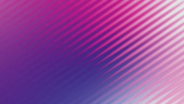 Wavy pink purple background video. Noise effect.