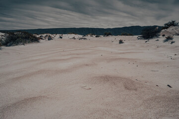 Dunas en el desierto 