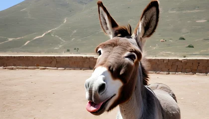 Fotobehang A-Donkey-With-Its-Tongue-Flicking-Out-Tasting-The-Upscaled_15 © Soha