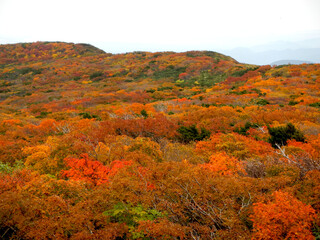 船形山の十月の紅葉