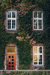 Fototapeta na wymiar Stone walls of kings palace covered with green creepers. Windows and door of Wawel Royal Castle in Krakow, Poland