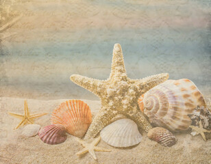 Fototapeta na wymiar Seashells and starfish on the sandy beach with sea background