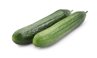Two long fresh cucumbers isolated on white