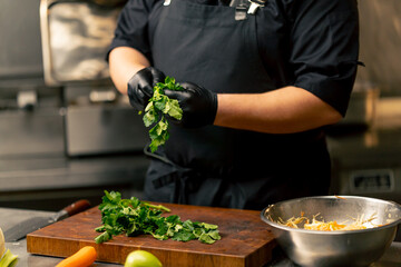 close-up in professional kitchen the chef at the table peels parsley from the stems