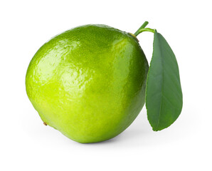 Fresh green ripe lime with leaf isolated on white
