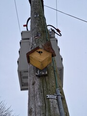 Wooden birdhouse on an electrical pole
