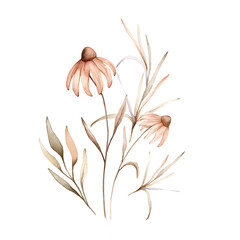 Watercolor bouquet botanical autumn illustration echinacea branches flowers and herbs. Autumn floral illustration. Hand painted drawing isolated on white background. Floral composition pastel color