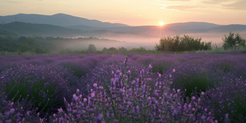 Serene Lavender Field at Sunset with Majestic Mountains and Mist in the Air