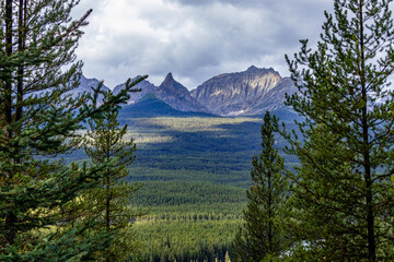 Bow Valley Pkwy Banff National Park Alberta Canada
