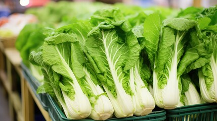 market chinese cabbage vegetable - obrazy, fototapety, plakaty