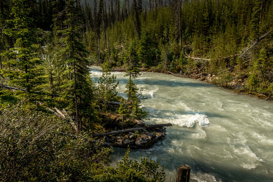 Tokkum Creek through the trees Kootenay National Park British Columbia Canada