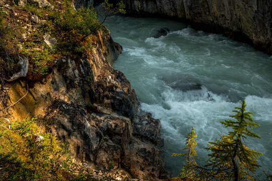 Tokkum Creek through the trees Kootenay National Park British Columbia Canada