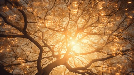 branches starburst patterns