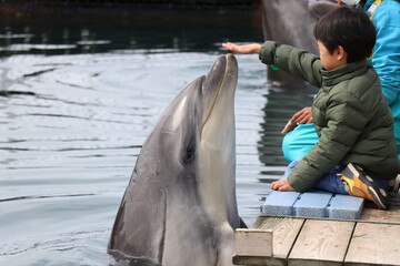 熊本　天草　水族館　海中水族館シードーナツ