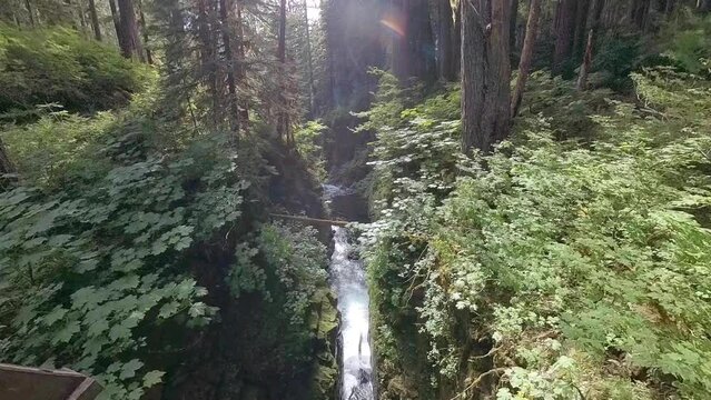 Panning Up Over Gorge with Rushing Creek in Olympic National Park