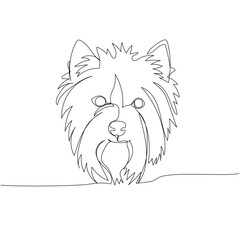 Yorkshire Terrier, British dog breed, companion dog, hunting dog one line art. Continuous line drawing of friend, dog, doggy, friendship, care, pet, animal, family, canine.