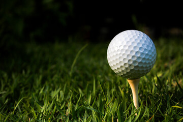Golf ball set on tee. Dark background.