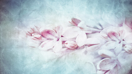 Floral spring background. Vintage watercolor background of lilac flowers.  Close-up. Nature. - 783179574