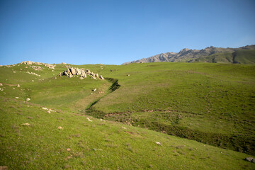 A grassy hillside with a few rocks and a mountain in the background. The sky is clear and blue