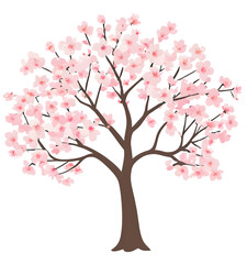 Cherry Blossom, Cherry Blossom Tree, Japanese Tree, Spring Tree, Spring Flower, Pastel Tree, Pastel Flower