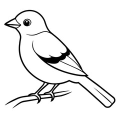     Bird on a branch vector illustration.
