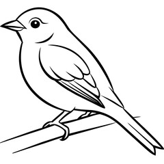     A tiny bird sitting on a branch.
