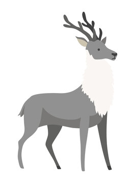 Cartoon reindeer with beautiful antlers. Doe animal. Character cute deer isolated on white background.  illustration