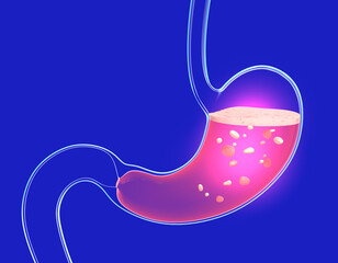 3D illustration of stomach digesting with burning and heaviness. Showing the interior with food. Anatomy of transparent glass with lights and reflections.