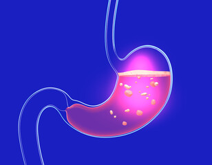 3D illustration of stomach digesting with burning and heaviness. Showing the interior with food. Anatomy of transparent glass with lights and reflections.
