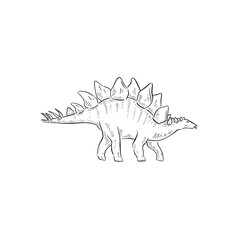 A line drawn illustration of a stegosaurus. Hand drawn in black and white and shaded using lines. A simple sketchy style illustration vectorised for many uses.
