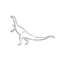 A line drawn illustration of a plateosaurus. Hand drawn in black and white and shaded using lines. A simple sketchy style illustration vectorised for many uses.