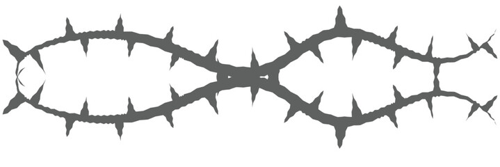 Vector image of a vine with thorns. Barbed wire.