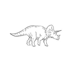 A line drawn illustration of a triceratops. Hand drawn in black and white and shaded using lines. A simple sketchy style illustration vectorised for many uses.