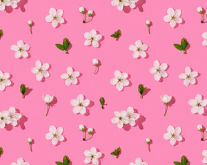 Spring background with cherry flowers on pink backdrop.