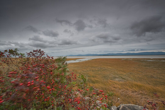 Saint Lawrence river in raina weather