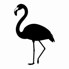 Flamingo silhouette. Vector illustration 
