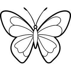 line art butterfly isolated on white background