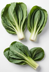Fresh ripe pak choi cabbage on isolated white background on isolated white background, juicy and fresh, top view, Flat lay, no shadows
