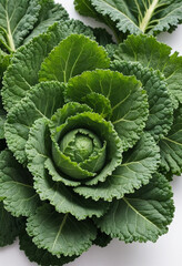 Fresh kale on isolated white background , juicy and fresh, top view, Flat lay, no shadows