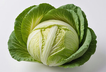 Obraz premium Fresh Chinese cabbage on isolated white background , juicy and fresh, top view, Flat lay, no shadows
