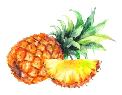 Watercolor watermelon isolated on white, PNG file, Pineapple PNG